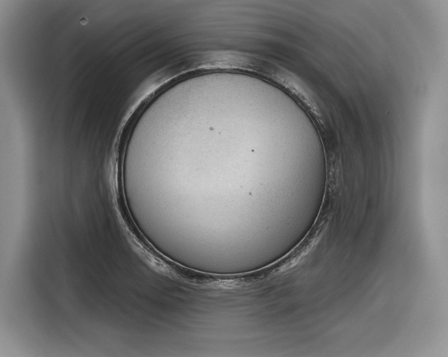 X0000116871130200912221400