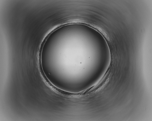 X0000116871134200912221400