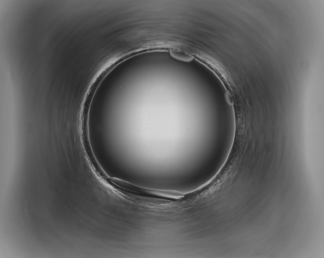 X0000116871135200912221400