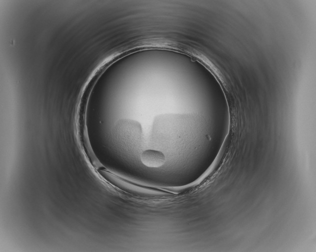 X0000116871139200912221400