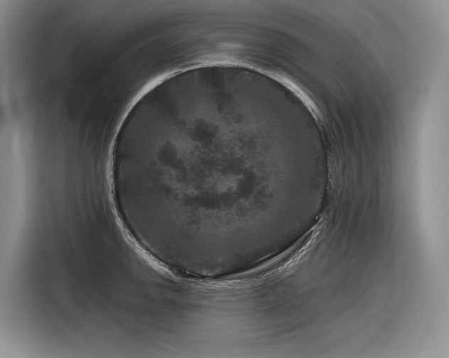 X0000116871142200912221400