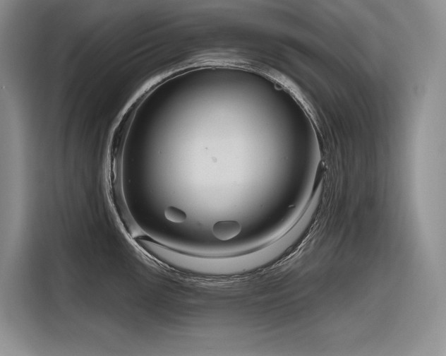 X0000116871147200912221400