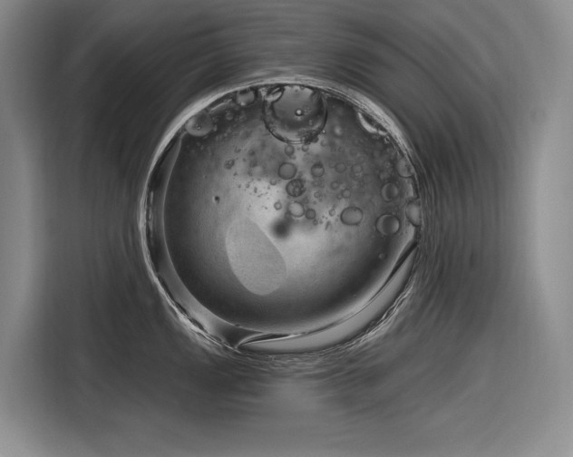 X0000116871149200912221401