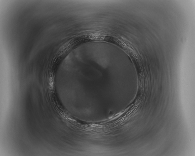 X0000116871154200912221400