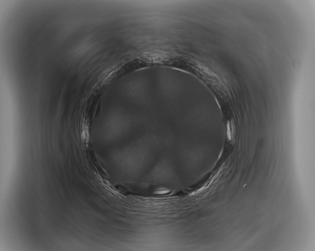 X0000116871155200912221400