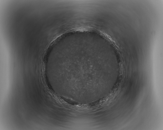 X0000116871158200912221400