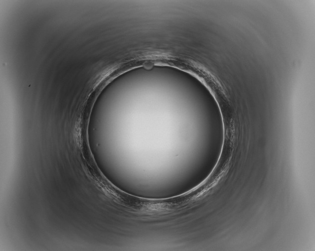 X0000116871162200912221400