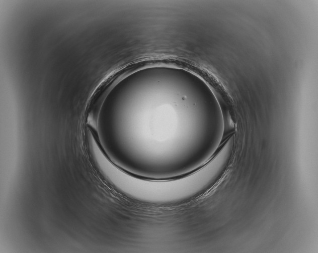 X0000116871165200912221400