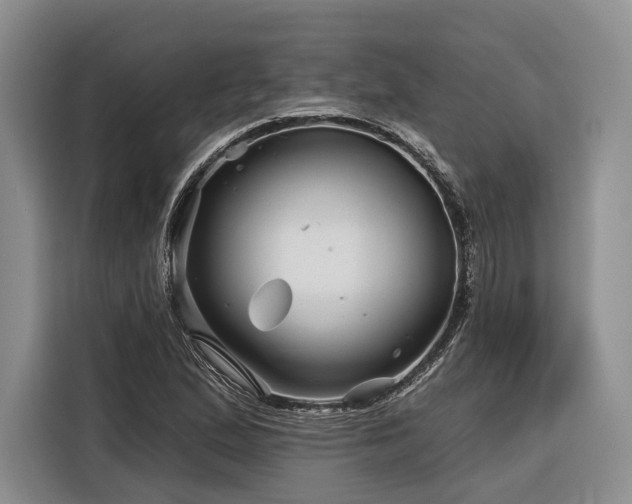 X0000116871167200912221400