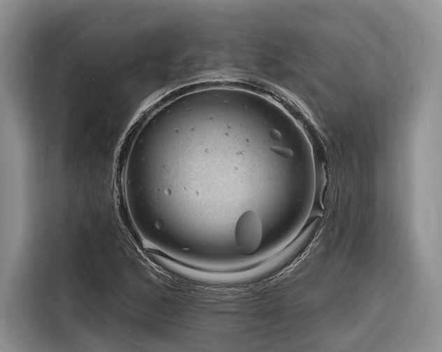 X0000116871168200912221400