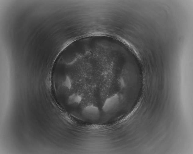 X0000116871170200912221400