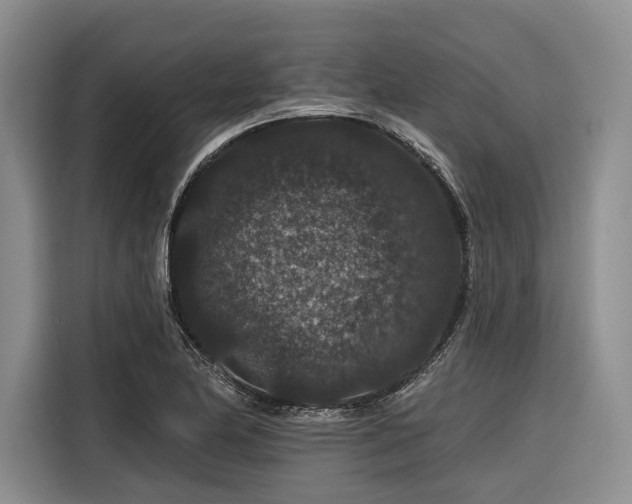 X0000116871174200912221400