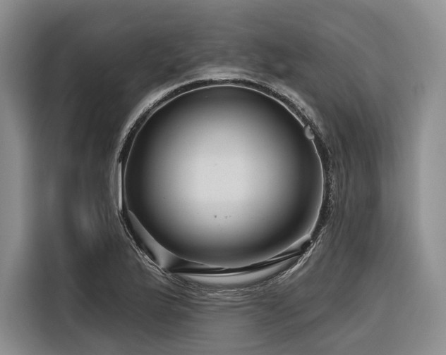 X0000116871175200912221400