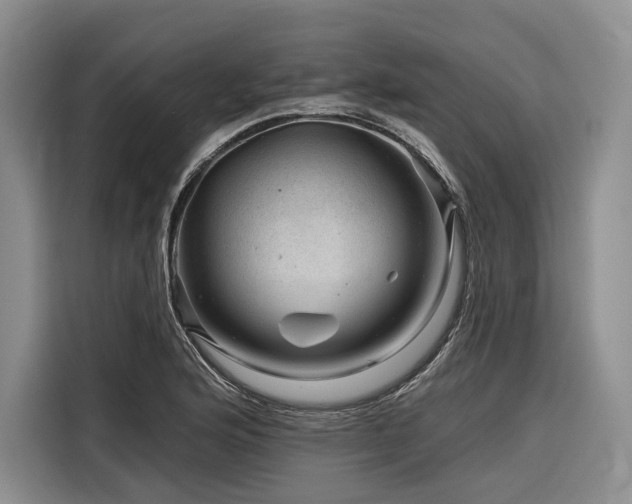 X0000116871176200912221400