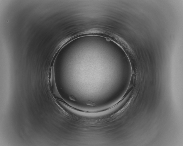 X0000116871177200912221400