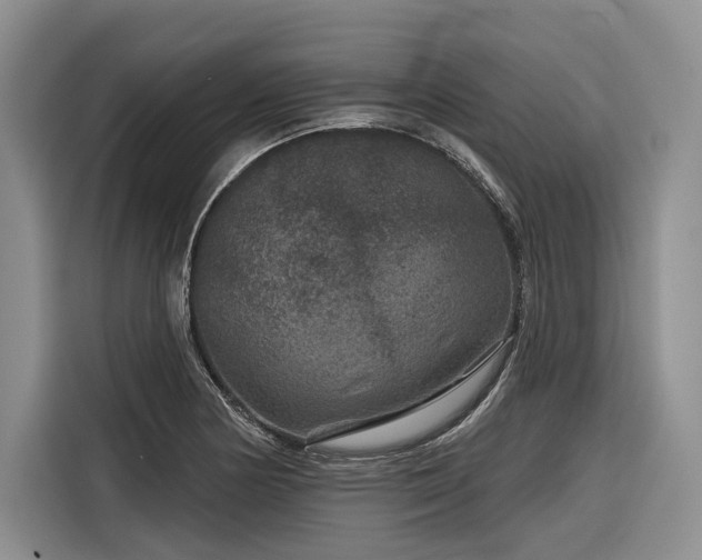 X0000116871178200912221400