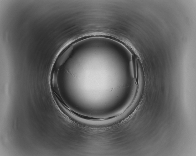X0000116871181200912221400