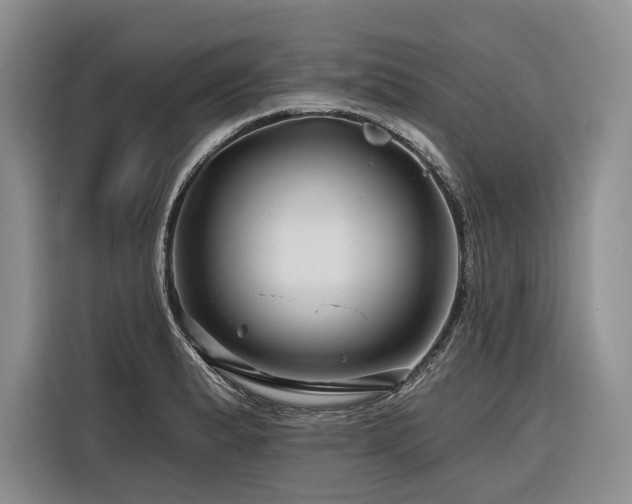 X0000116871183200912221400