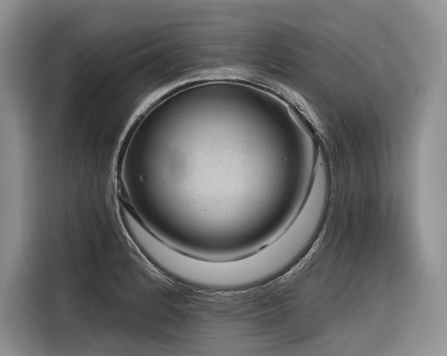 X0000116871184200912221400