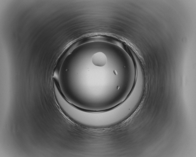 X0000116871185200912221400