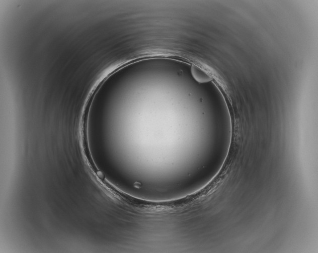 X0000116871187200912221359