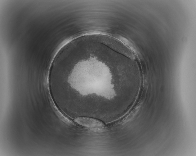 X0000116871189200912221359