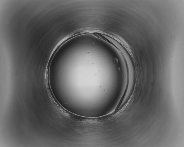 X0000116871190200912221359