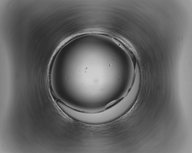 X0000116871192200912221359