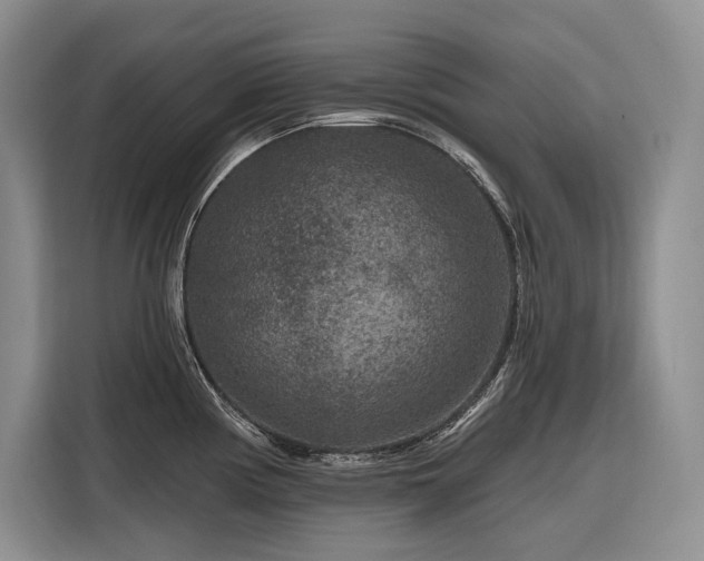 X0000116871194200912221359