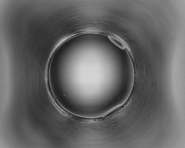 X0000116871195200912221359