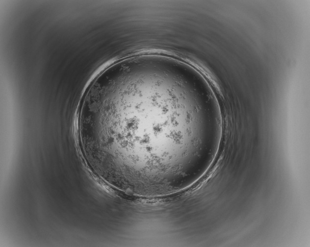 X0000116871198200912221359