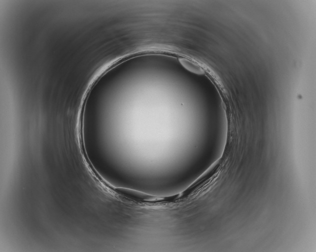 X0000116871199200912221359