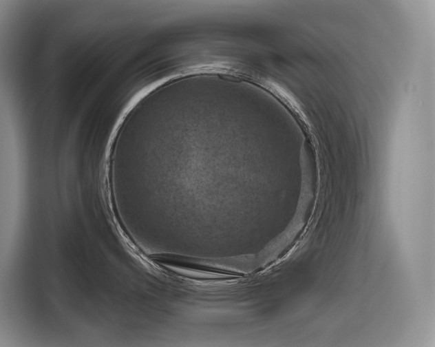 X0000116871200200912221359