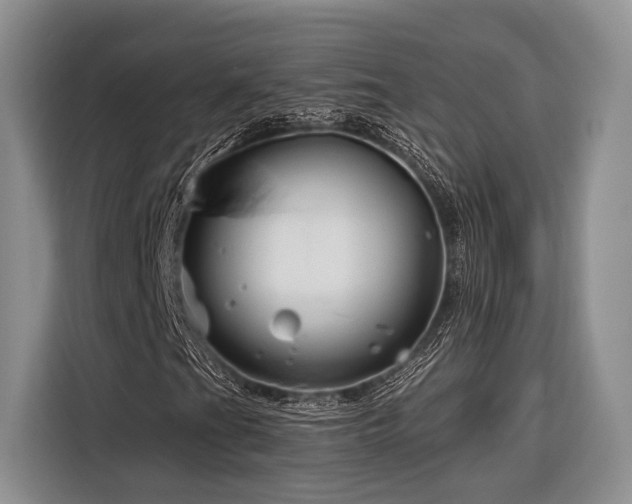 X0000116871201200912221359