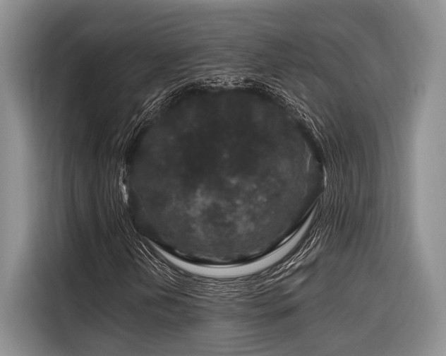 X0000116871202200912221359