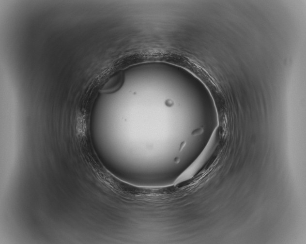 X0000116871204200912221359