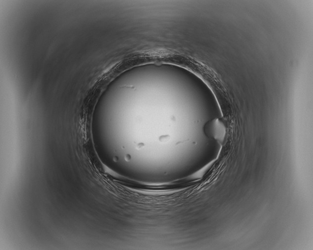 X0000116871205200912221359