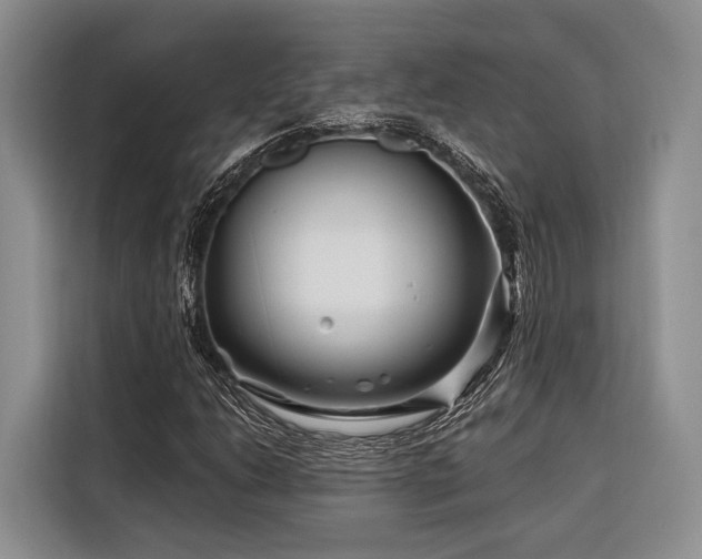 X0000116871206200912221359