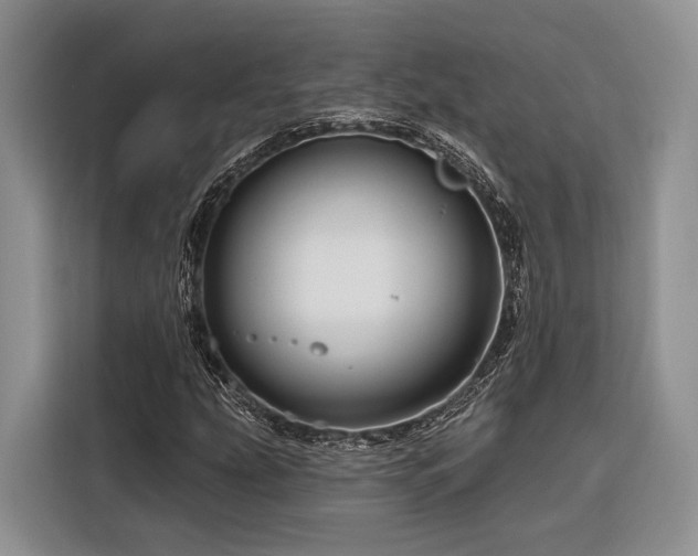 X0000116871207200912221359