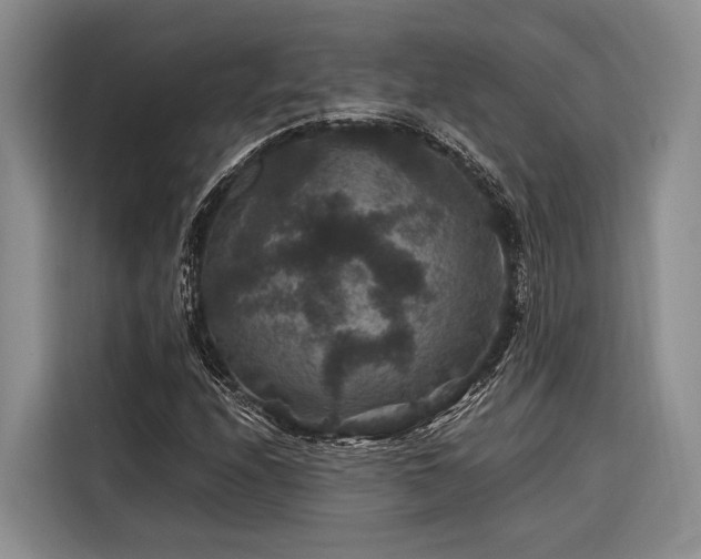 X0000116871208200912221359