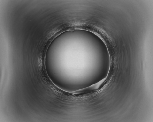 X0000116871209200912221359
