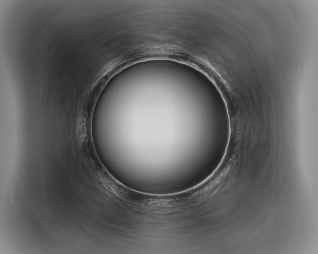 X0000116871211200912221359