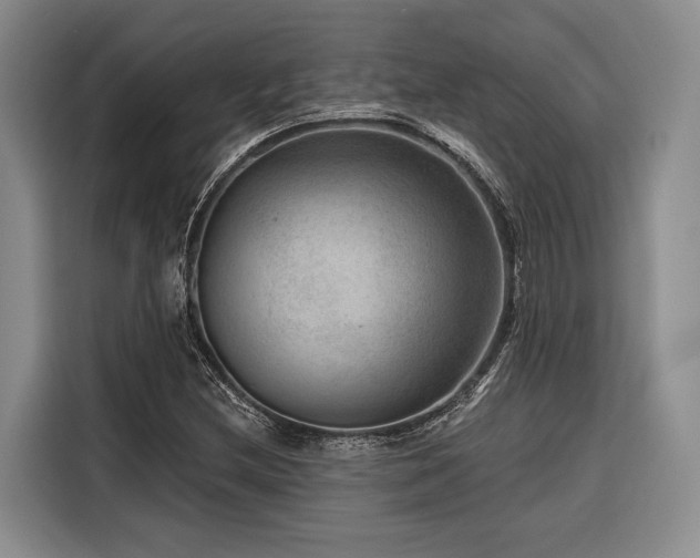 X0000116871212200912221359