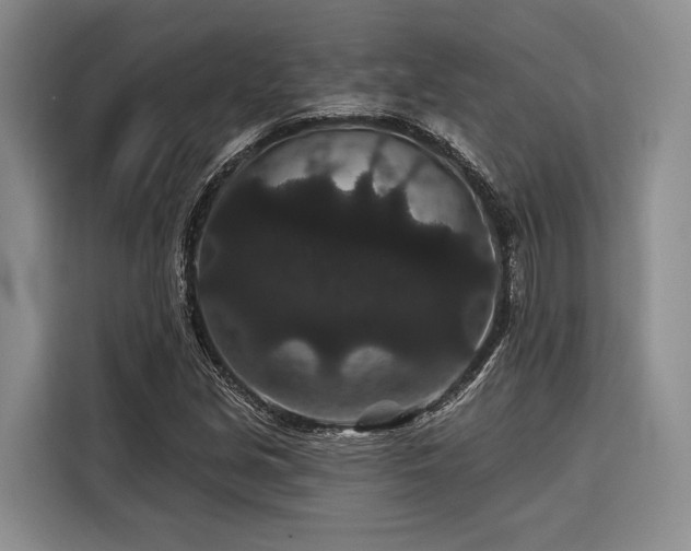 X0000116871213200912221359