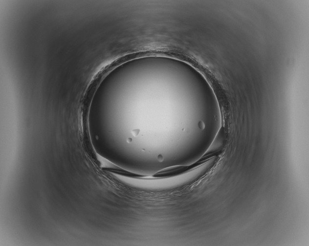 X0000116871214200912221359