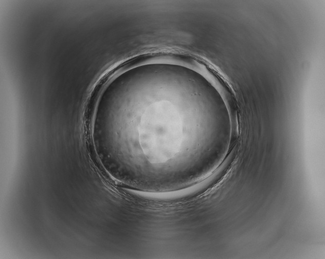 X0000116871215200912221359