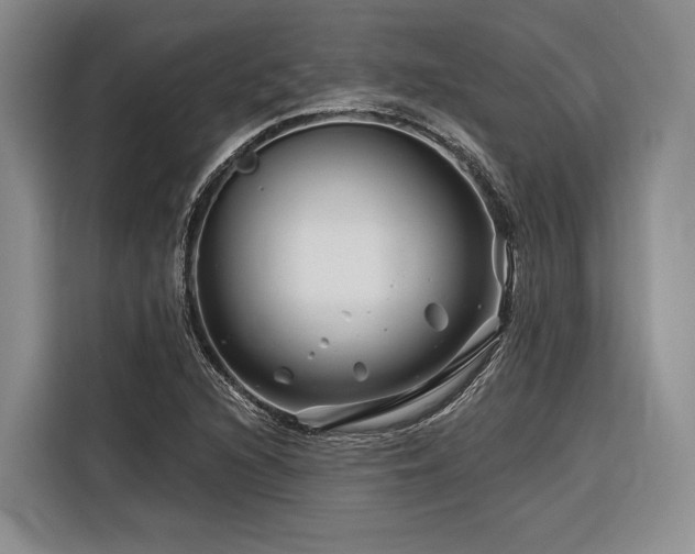 X0000116871216200912221359