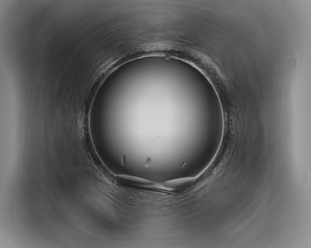 X0000116871217200912221359