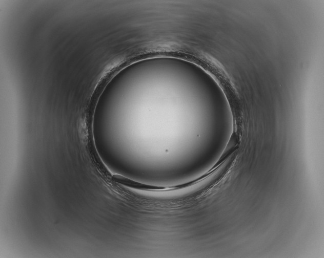 X0000116871218200912221359