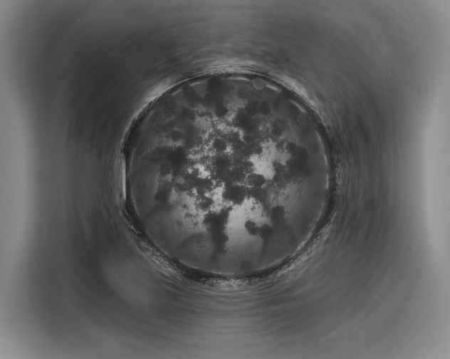 X0000116871219200912221359